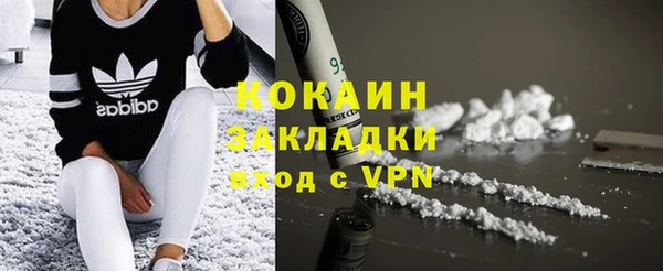 сатива Армянск