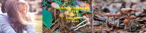 метамфетамин Арсеньев