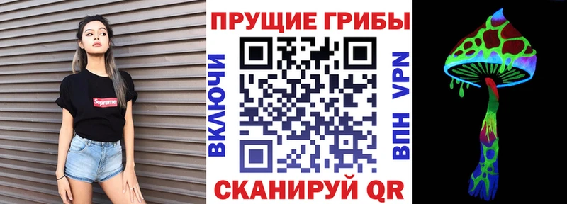 Псилоцибиновые грибы Magic Shrooms  Купить  Сурск 